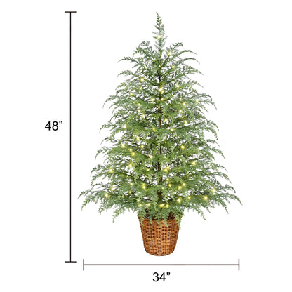 🎀My Texas House Pre-Lit Cypress Artificial Christmas Tree, Green